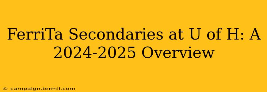 FerriTa Secondaries at U of H: A 2024-2025 Overview