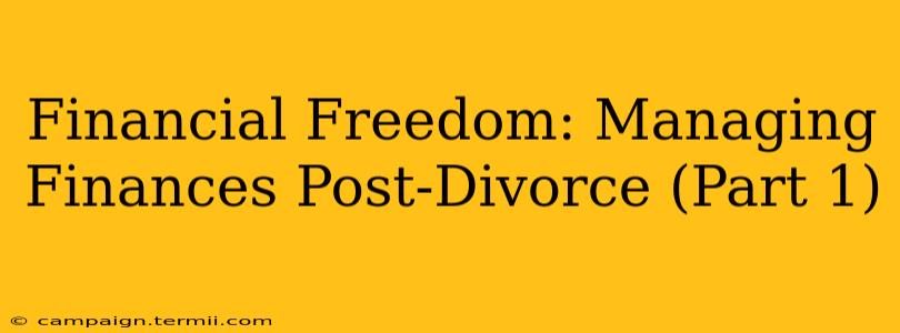 Financial Freedom: Managing Finances Post-Divorce (Part 1)