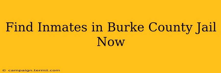 Find Inmates in Burke County Jail Now