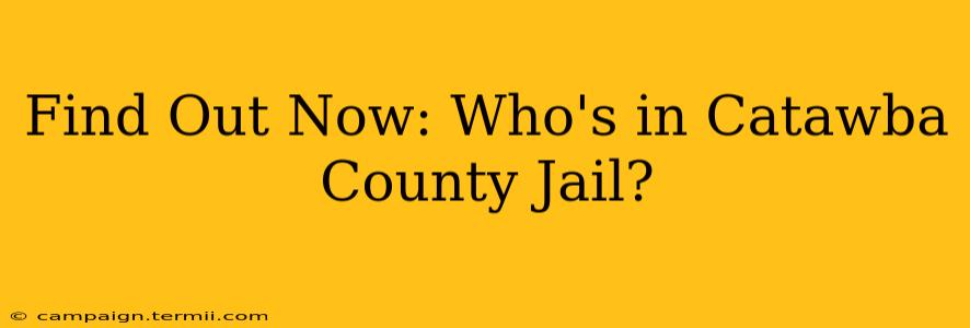 Find Out Now: Who's in Catawba County Jail?