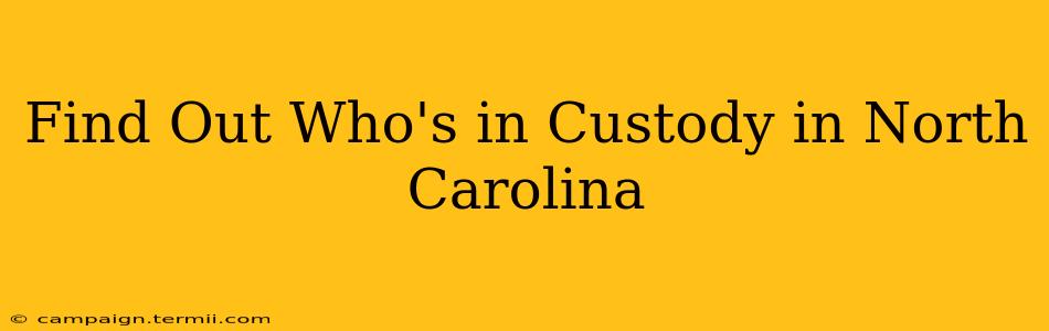 Find Out Who's in Custody in North Carolina