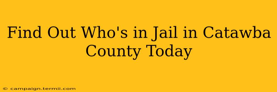 Find Out Who's in Jail in Catawba County Today