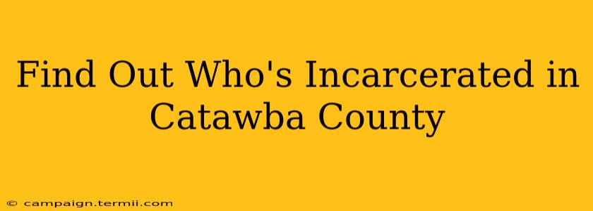 Find Out Who's Incarcerated in Catawba County