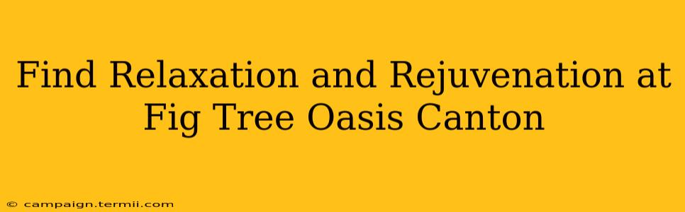 Find Relaxation and Rejuvenation at Fig Tree Oasis Canton