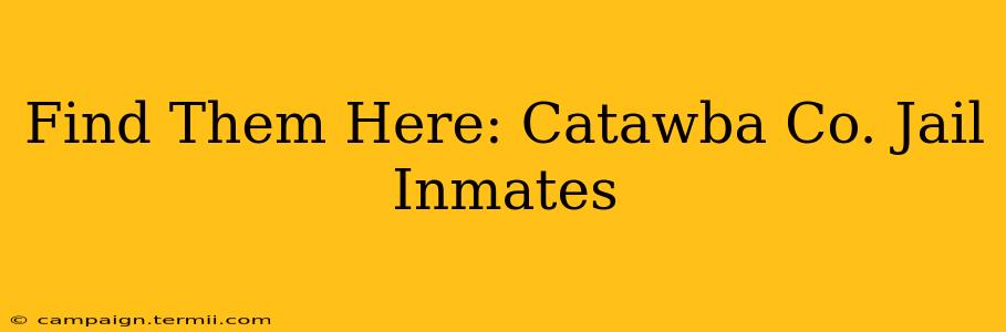 Find Them Here: Catawba Co. Jail Inmates