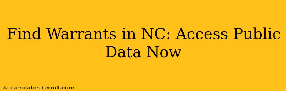 Find Warrants in NC: Access Public Data Now