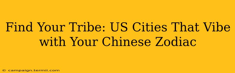 Find Your Tribe: US Cities That Vibe with Your Chinese Zodiac