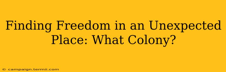 Finding Freedom in an Unexpected Place: What Colony?