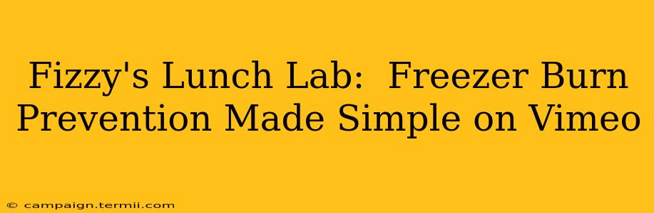 Fizzy's Lunch Lab:  Freezer Burn Prevention Made Simple on Vimeo