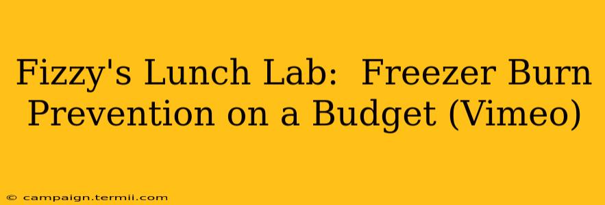 Fizzy's Lunch Lab:  Freezer Burn Prevention on a Budget (Vimeo)