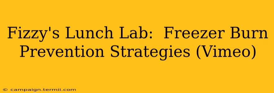 Fizzy's Lunch Lab:  Freezer Burn Prevention Strategies (Vimeo)