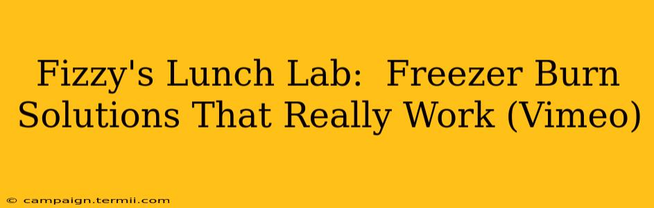 Fizzy's Lunch Lab:  Freezer Burn Solutions That Really Work (Vimeo)