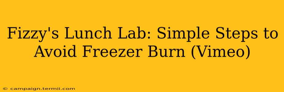 Fizzy's Lunch Lab: Simple Steps to Avoid Freezer Burn (Vimeo)