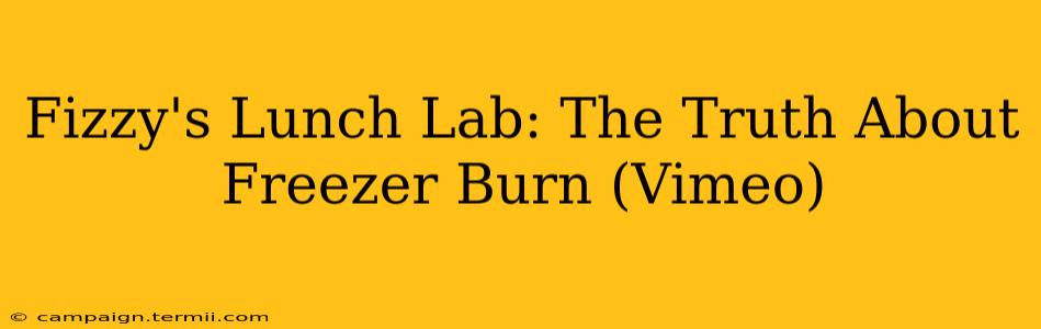 Fizzy's Lunch Lab: The Truth About Freezer Burn (Vimeo)