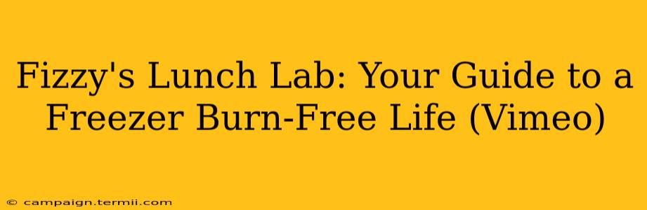 Fizzy's Lunch Lab: Your Guide to a Freezer Burn-Free Life (Vimeo)