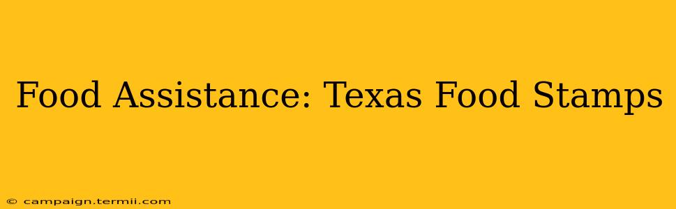 Food Assistance: Texas Food Stamps