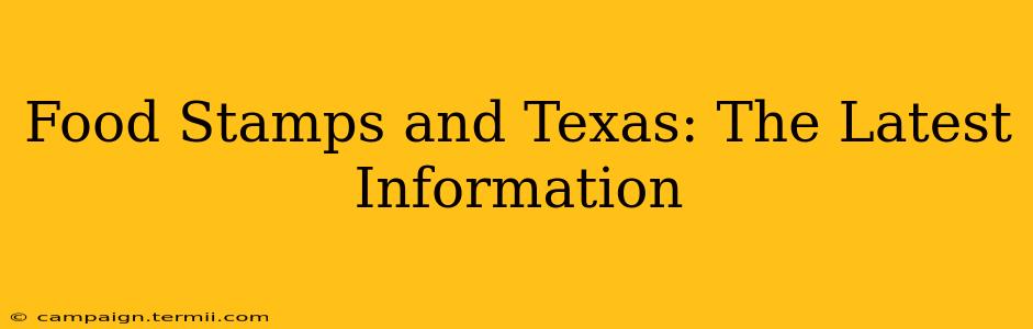 Food Stamps and Texas: The Latest Information