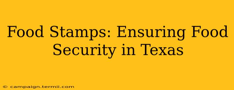 Food Stamps: Ensuring Food Security in Texas