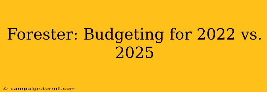 Forester: Budgeting for 2022 vs. 2025