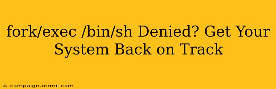 fork/exec /bin/sh Denied? Get Your System Back on Track