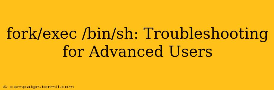 fork/exec /bin/sh: Troubleshooting for Advanced Users