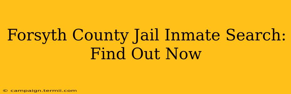 Forsyth County Jail Inmate Search: Find Out Now