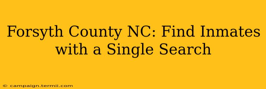 Forsyth County NC: Find Inmates with a Single Search