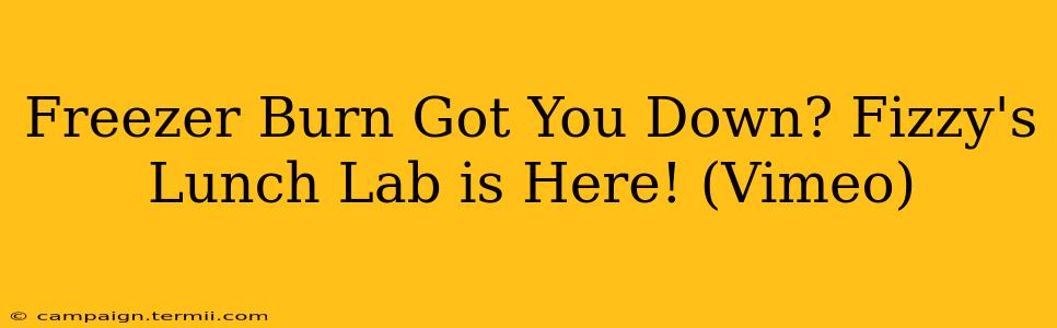 Freezer Burn Got You Down? Fizzy's Lunch Lab is Here! (Vimeo)