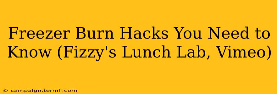 Freezer Burn Hacks You Need to Know (Fizzy's Lunch Lab, Vimeo)