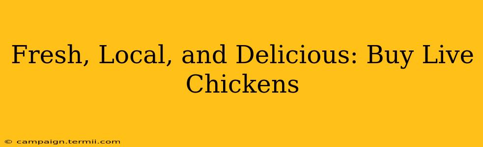 Fresh, Local, and Delicious: Buy Live Chickens