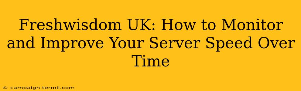 Freshwisdom UK: How to Monitor and Improve Your Server Speed Over Time