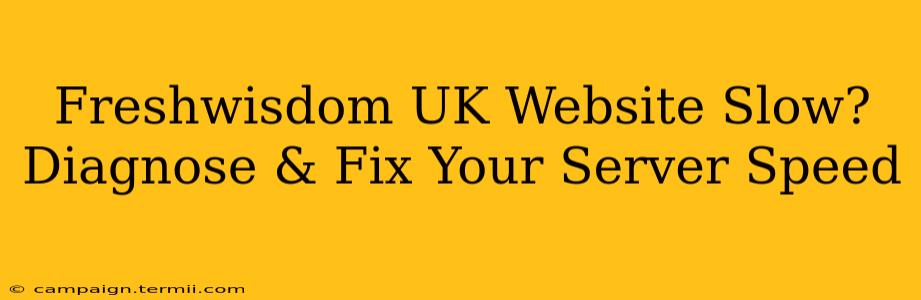 Freshwisdom UK Website Slow? Diagnose & Fix Your Server Speed