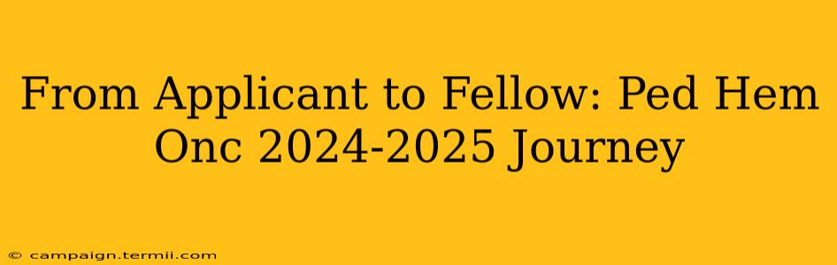 From Applicant to Fellow: Ped Hem Onc 2024-2025 Journey