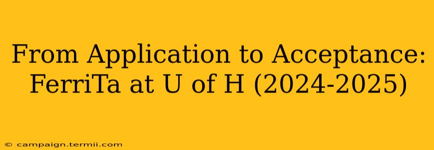 From Application to Acceptance: FerriTa at U of H (2024-2025)