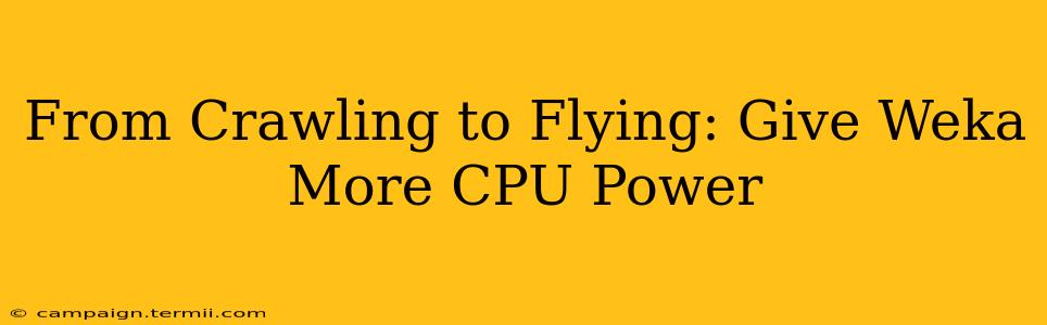 From Crawling to Flying: Give Weka More CPU Power