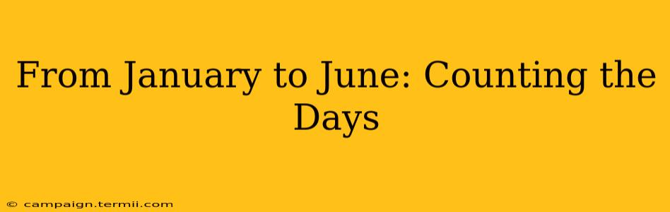 From January to June: Counting the Days