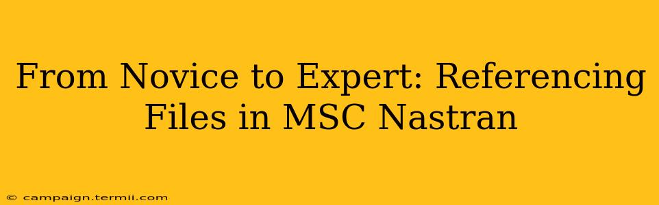 From Novice to Expert: Referencing Files in MSC Nastran