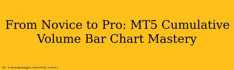 From Novice to Pro: MT5 Cumulative Volume Bar Chart Mastery