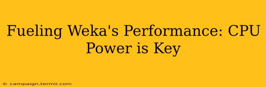 Fueling Weka's Performance: CPU Power is Key