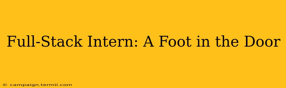 Full-Stack Intern: A Foot in the Door