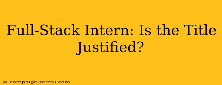 Full-Stack Intern: Is the Title Justified?