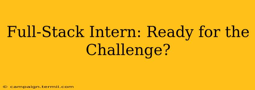 Full-Stack Intern: Ready for the Challenge?