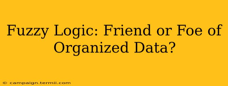 Fuzzy Logic: Friend or Foe of Organized Data?