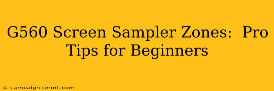 G560 Screen Sampler Zones:  Pro Tips for Beginners