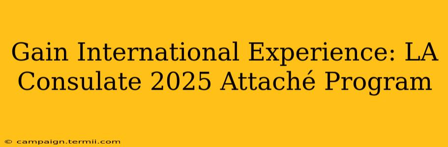 Gain International Experience: LA Consulate 2025 Attaché Program