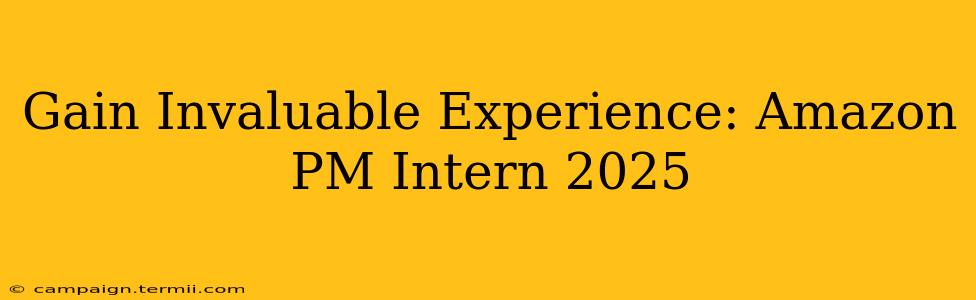 Gain Invaluable Experience: Amazon PM Intern 2025