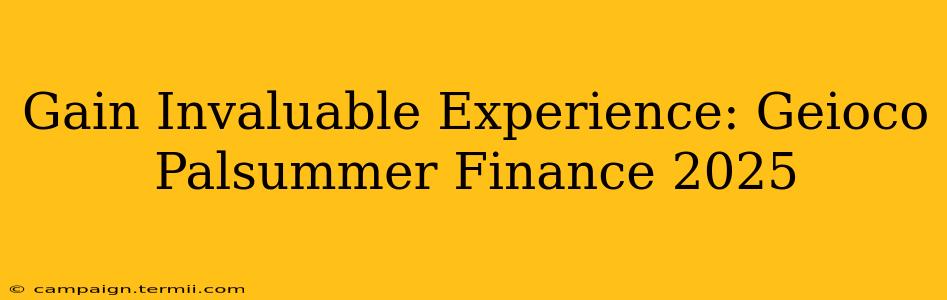 Gain Invaluable Experience: Geioco Palsummer Finance 2025