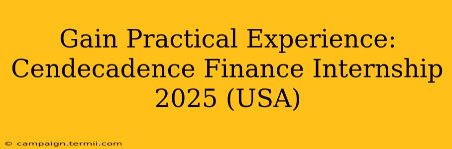 Gain Practical Experience: Cendecadence Finance Internship 2025 (USA)