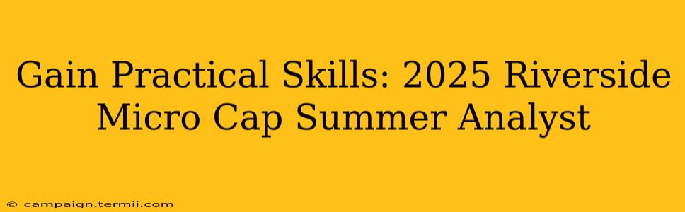 Gain Practical Skills: 2025 Riverside Micro Cap Summer Analyst