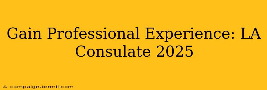 Gain Professional Experience: LA Consulate 2025